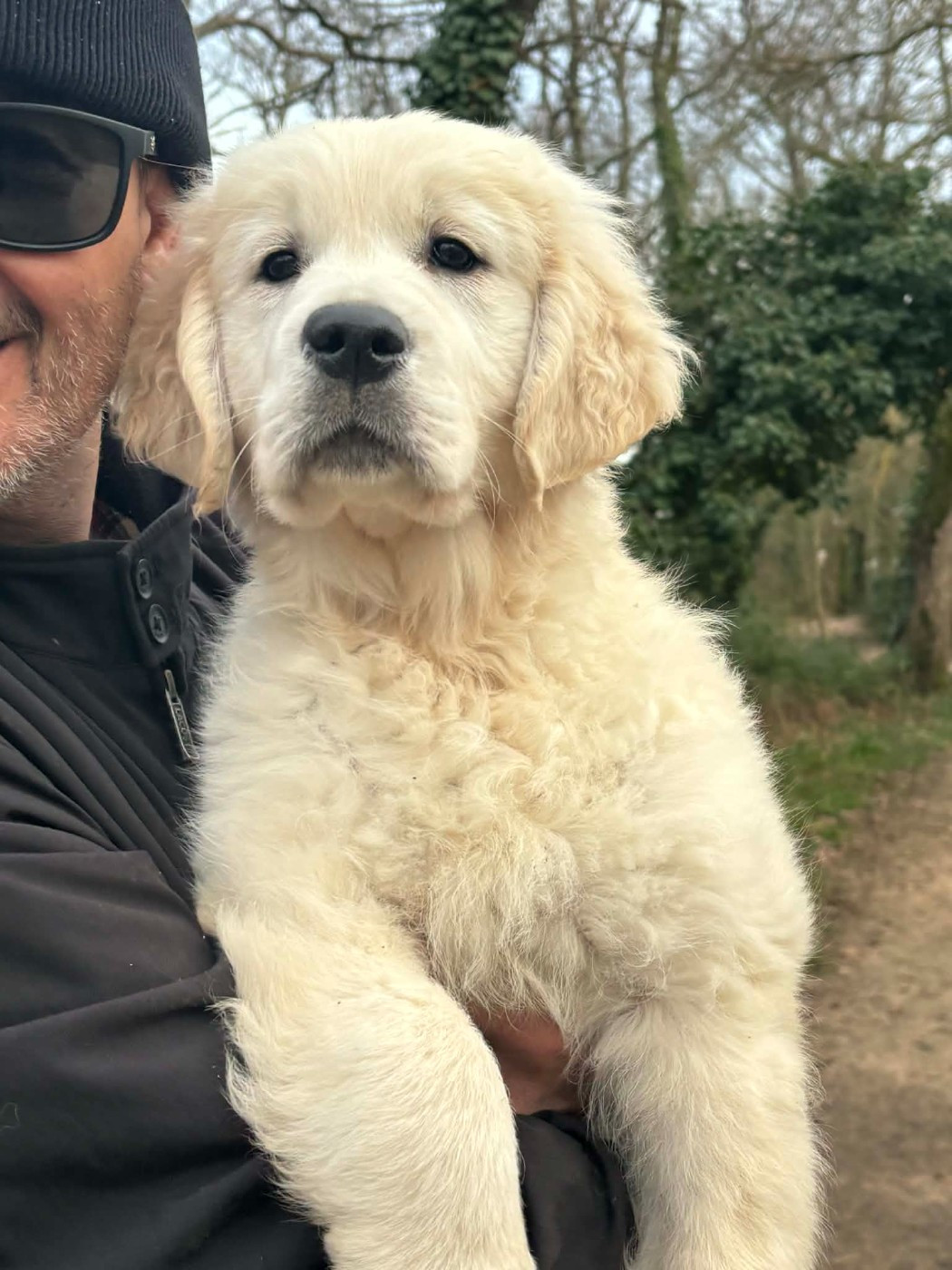 Publication : (Sans Affixe)