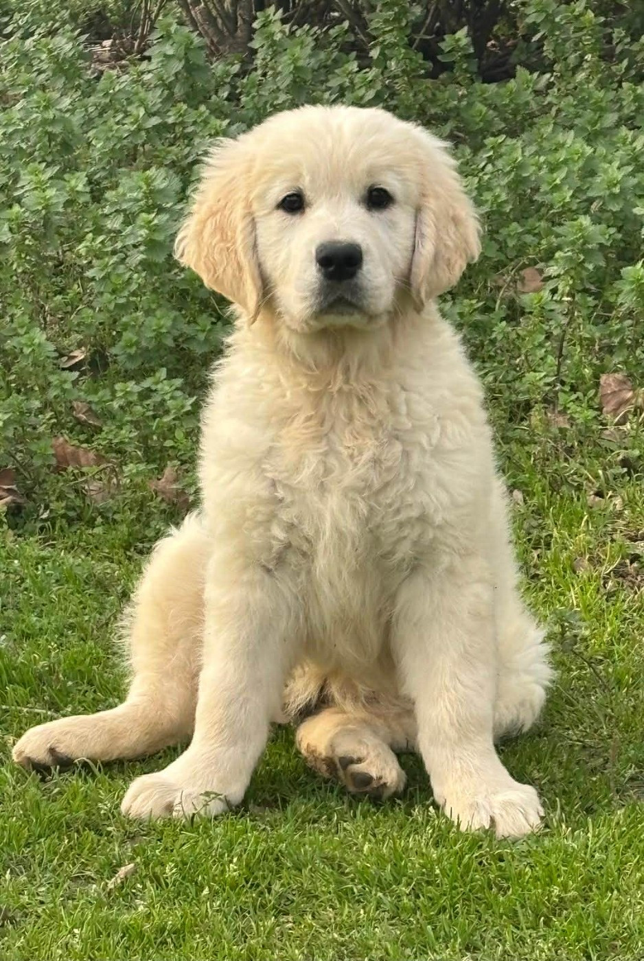 Publication : (Sans Affixe)