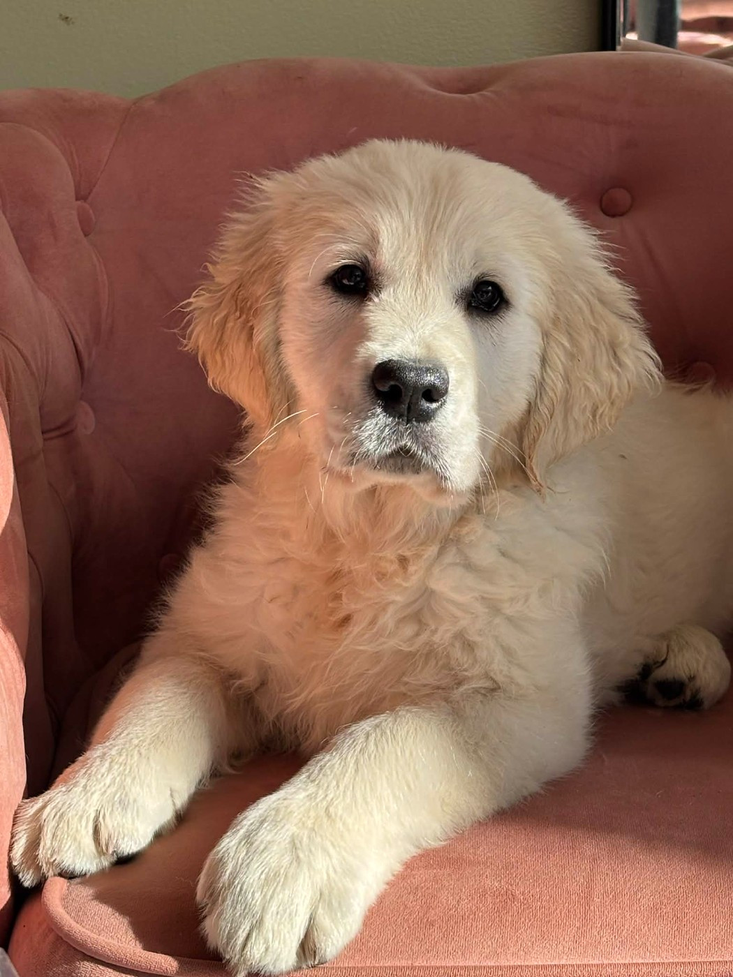 Publication : (Sans Affixe)