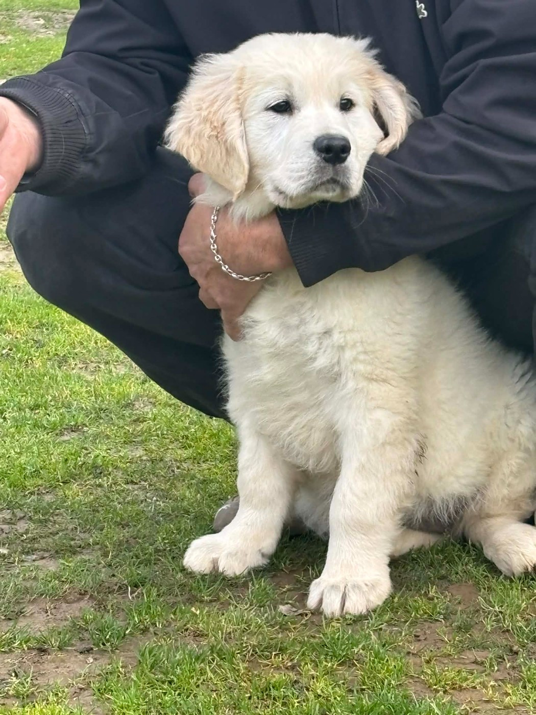 Publication : (Sans Affixe)