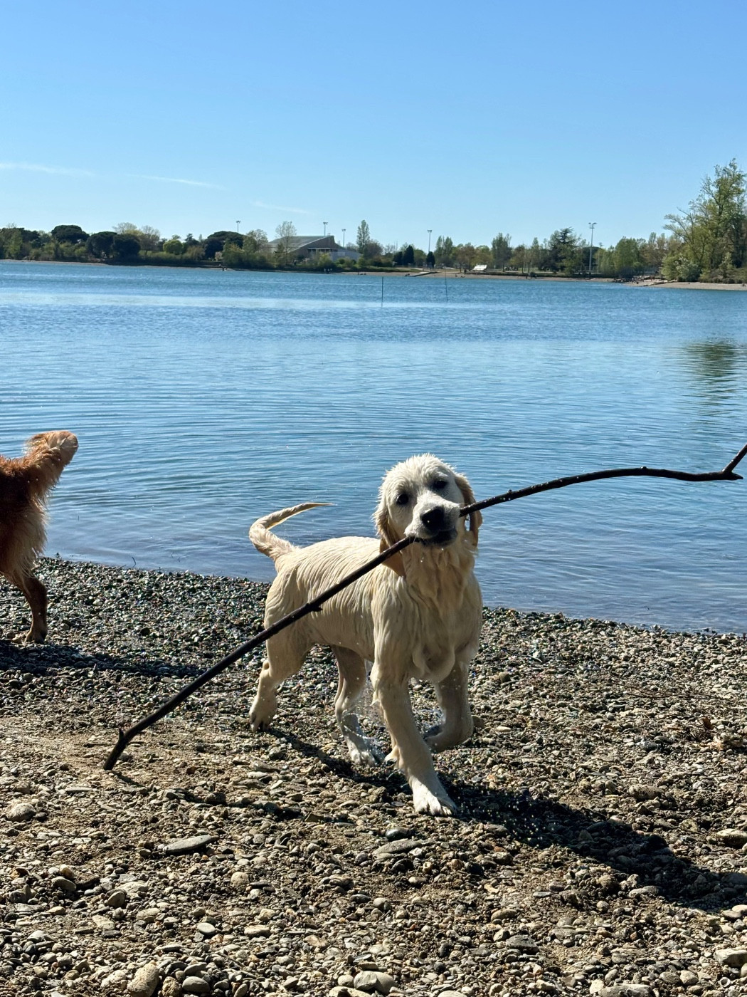 Publication : (Sans Affixe)