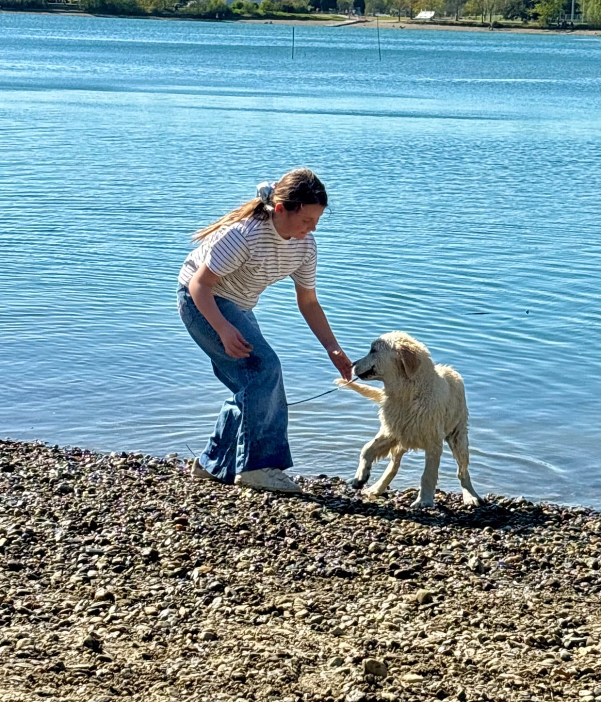 Publication : (Sans Affixe)