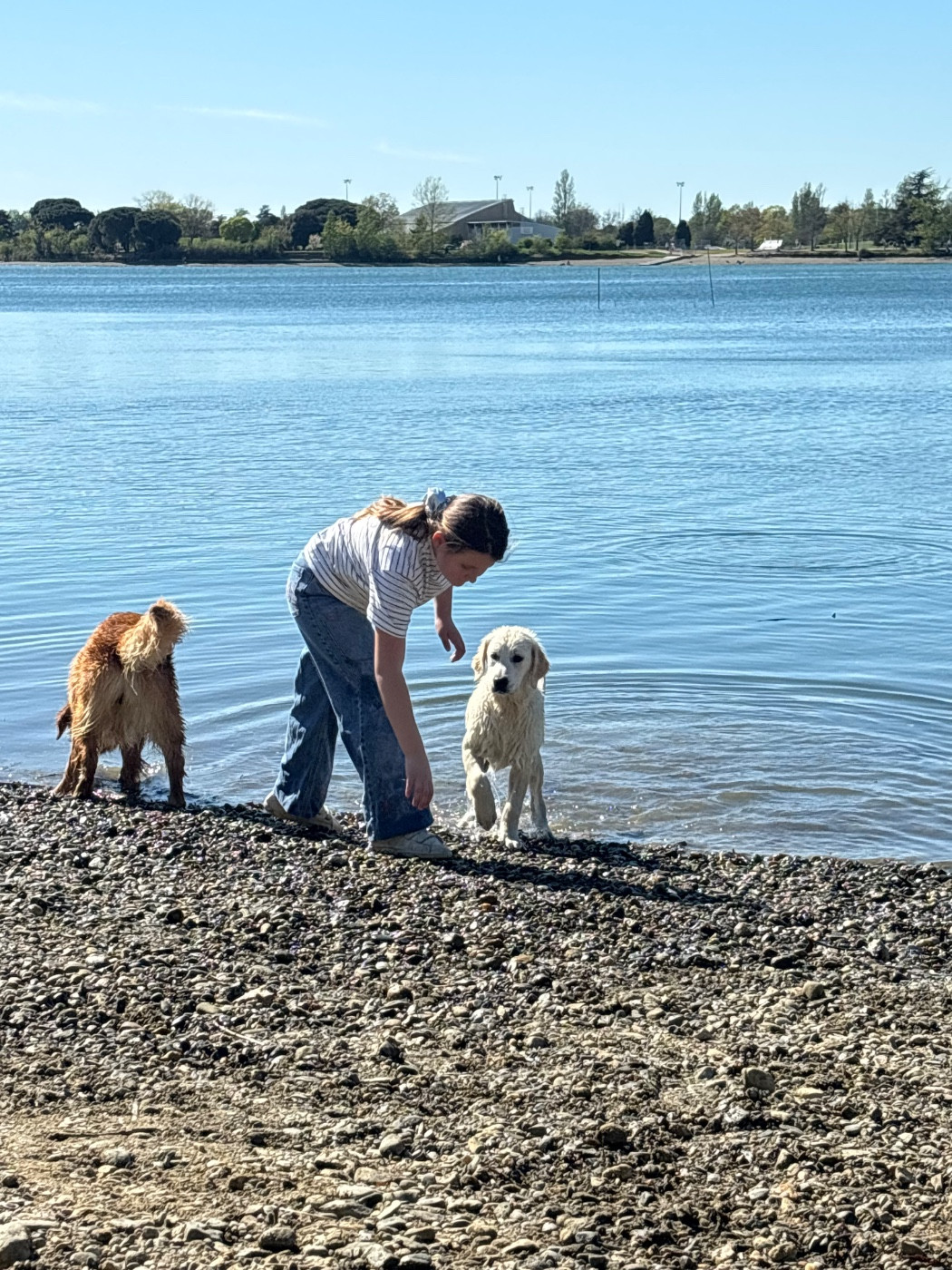 Publication : (Sans Affixe)