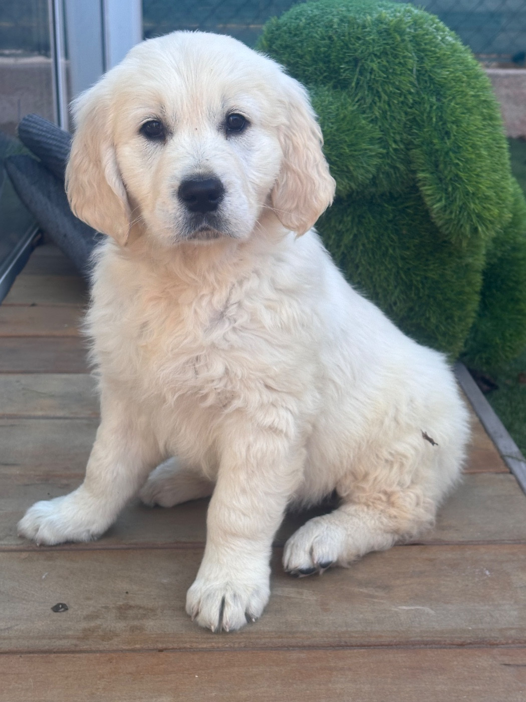 Publication : (Sans Affixe)