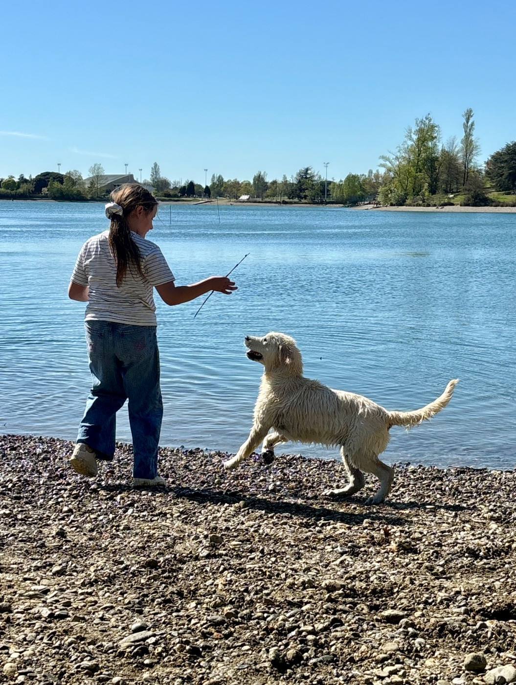 Publication : (Sans Affixe)