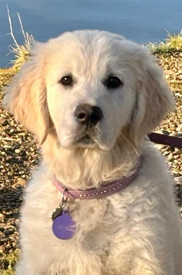 Publication : (Sans Affixe)