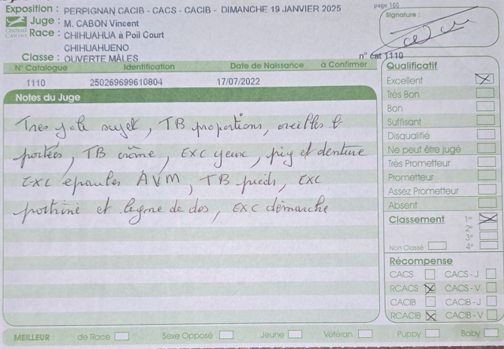 Tao de l'ecrin des joyaux - 1er excellent RCACS RCACIB