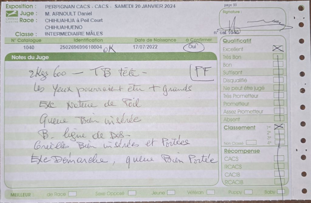 Tao de l'ecrin des joyaux - 1er excellent