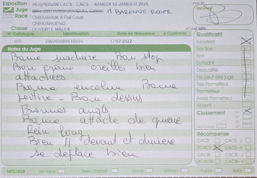 Tao de l'ecrin des joyaux - 1er excellent RCACS