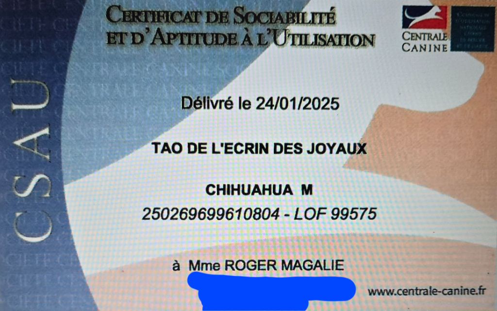 Tao de l'ecrin des joyaux - C.S.A.U.