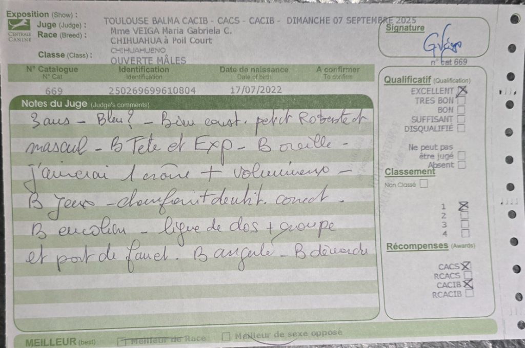 Tao de l'ecrin des joyaux - 1er excellent CACS CACIB