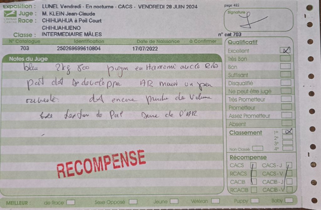 Tao de l'ecrin des joyaux - 1er excellent