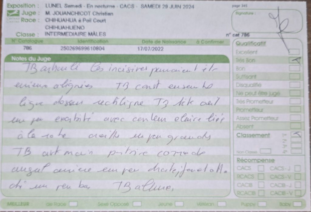 Tao de l'ecrin des joyaux - 1er très bon