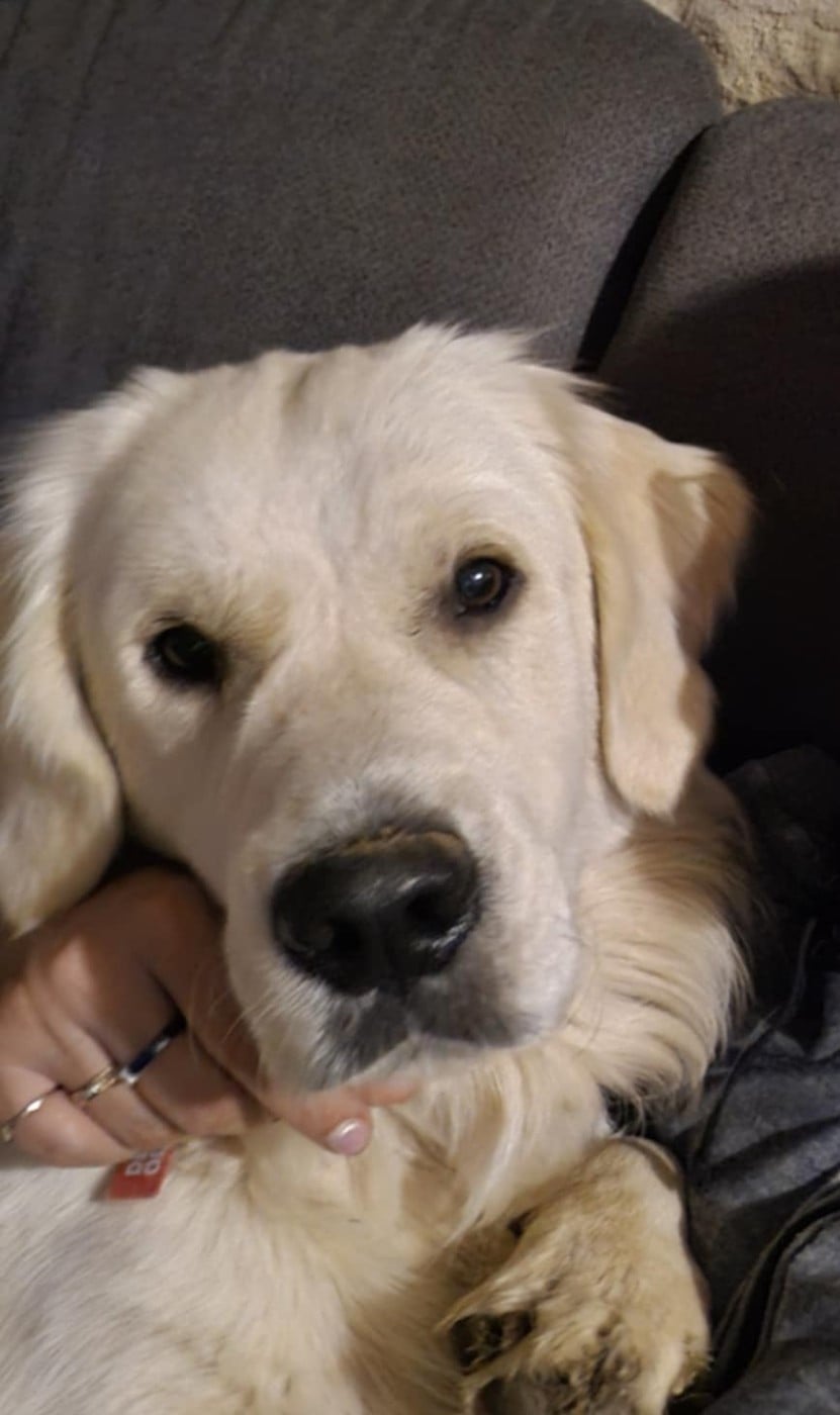 Virgul De La Colline D'Eole