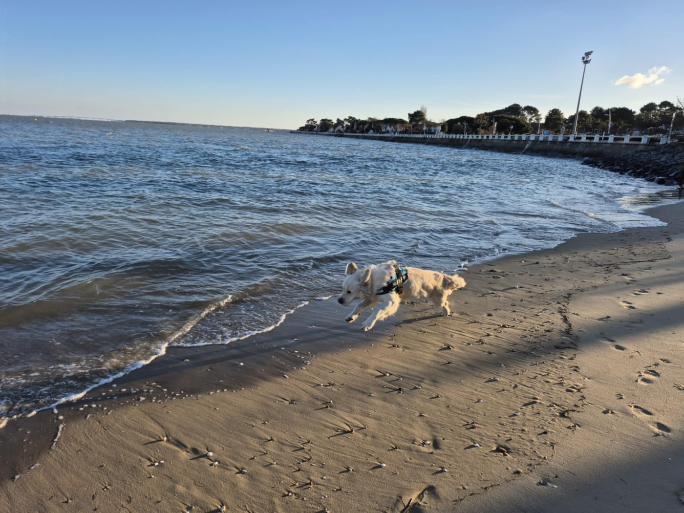 Virgul De La Colline D'Eole
