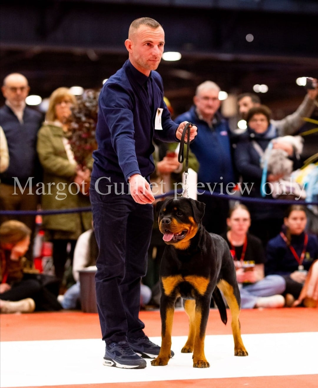 Vayper Des Pyramides Noires Et Feux