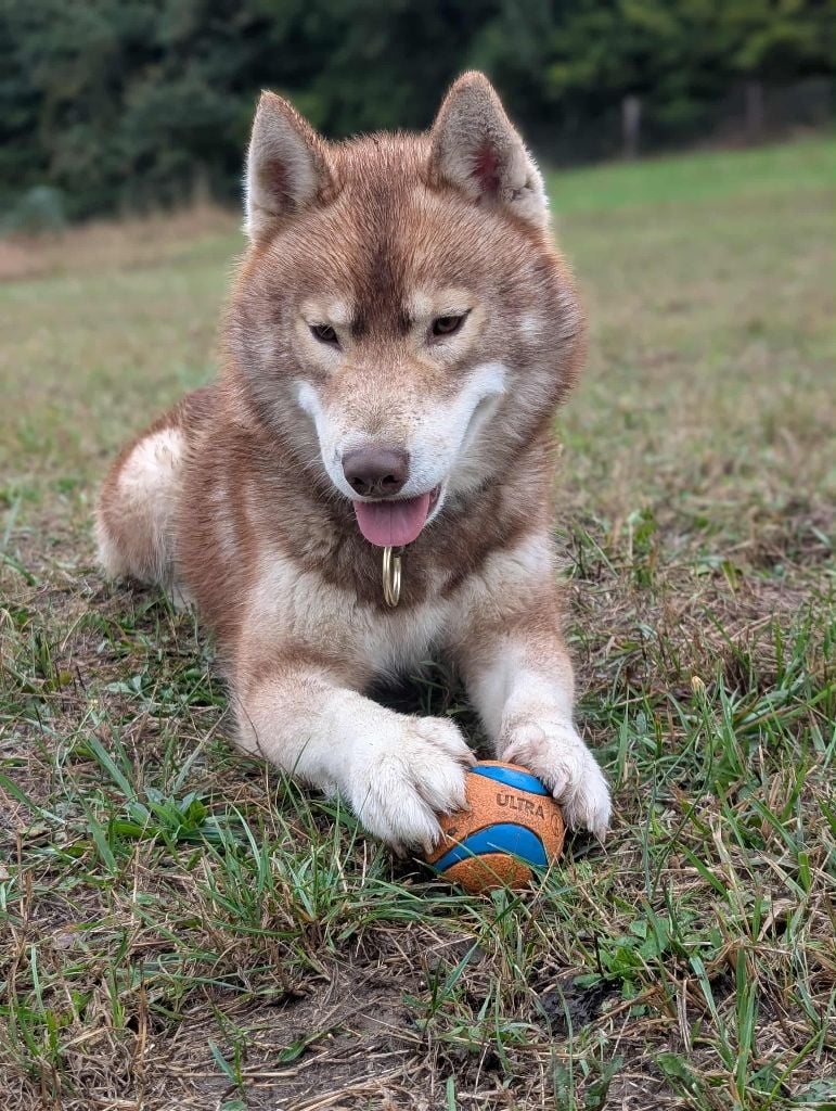 Vade retro satanas Of Moonlight's Rhapsody