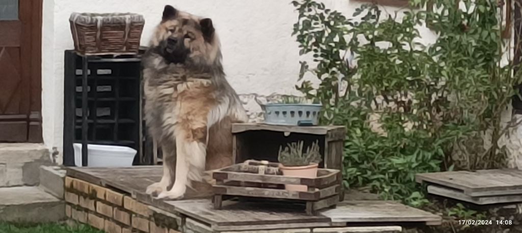 Publication : david eudeline