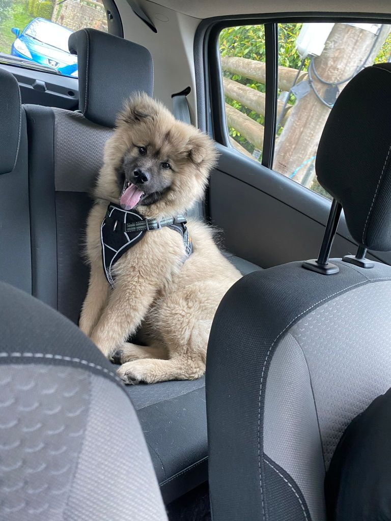 Publication : david eudeline