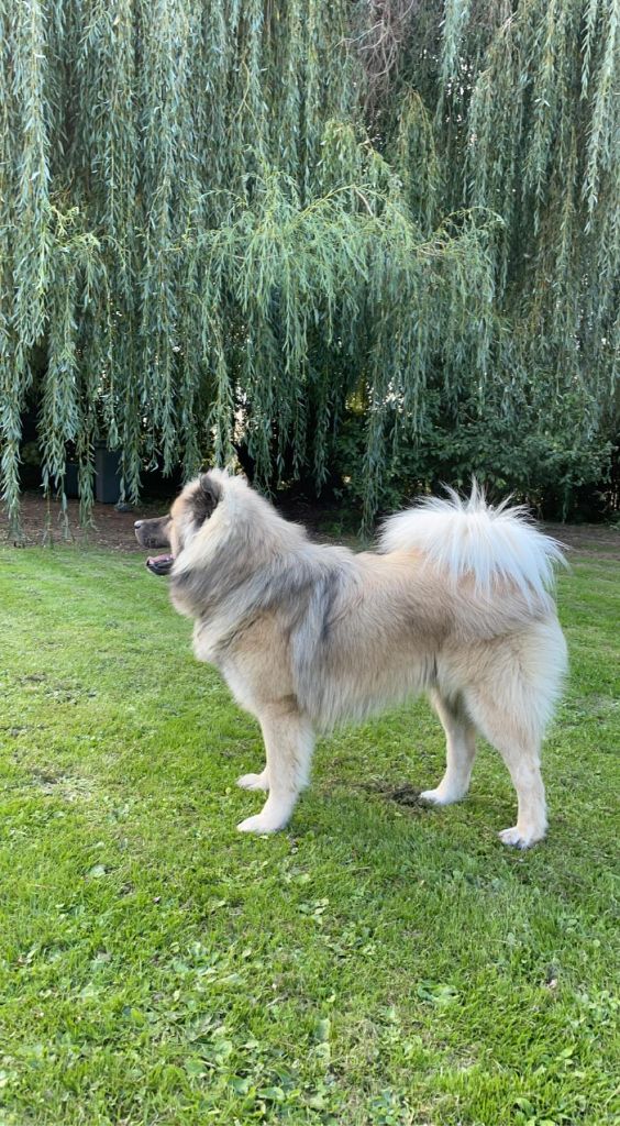 Publication : david eudeline