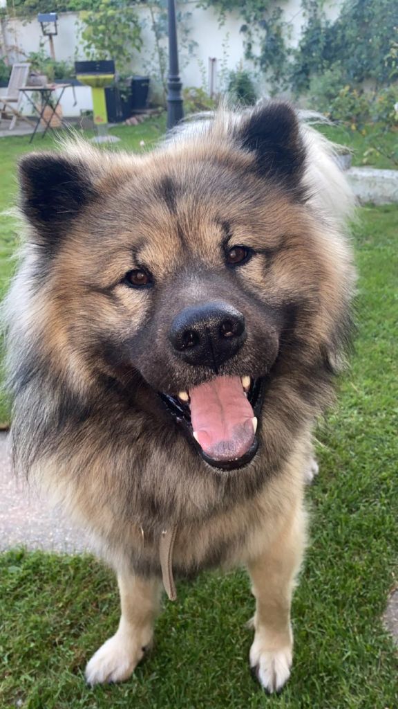 Publication : david eudeline