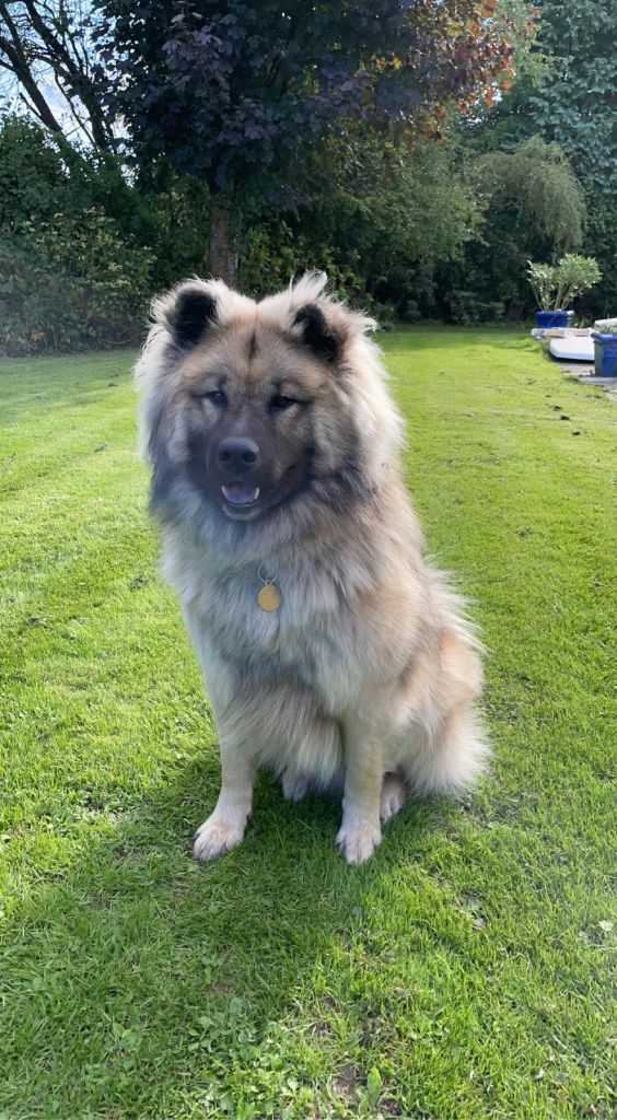 Publication : david eudeline