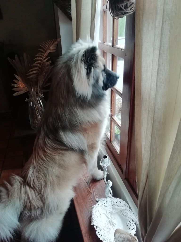 Publication : david eudeline