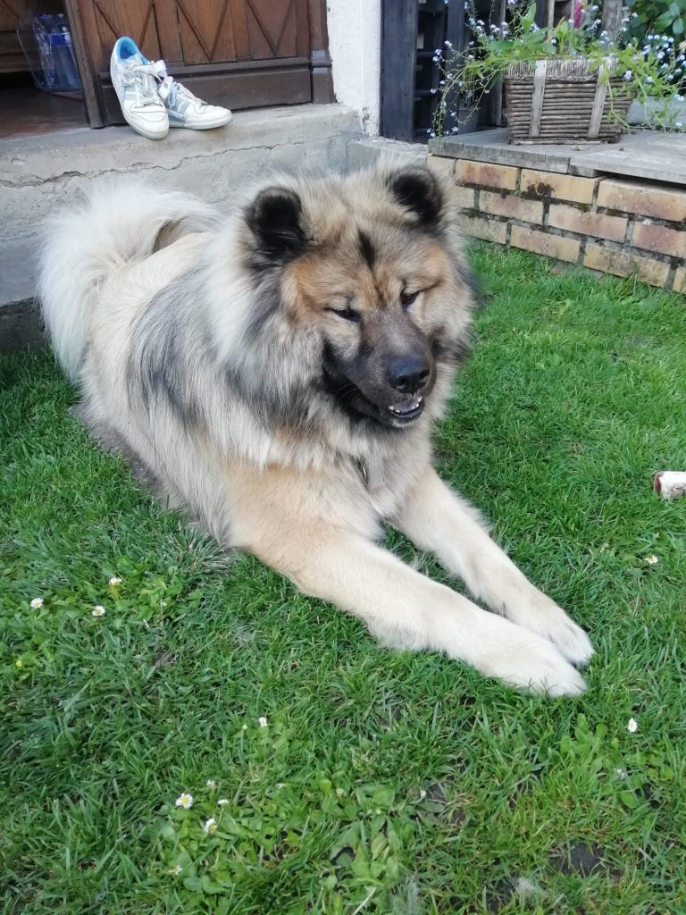 Publication : david eudeline