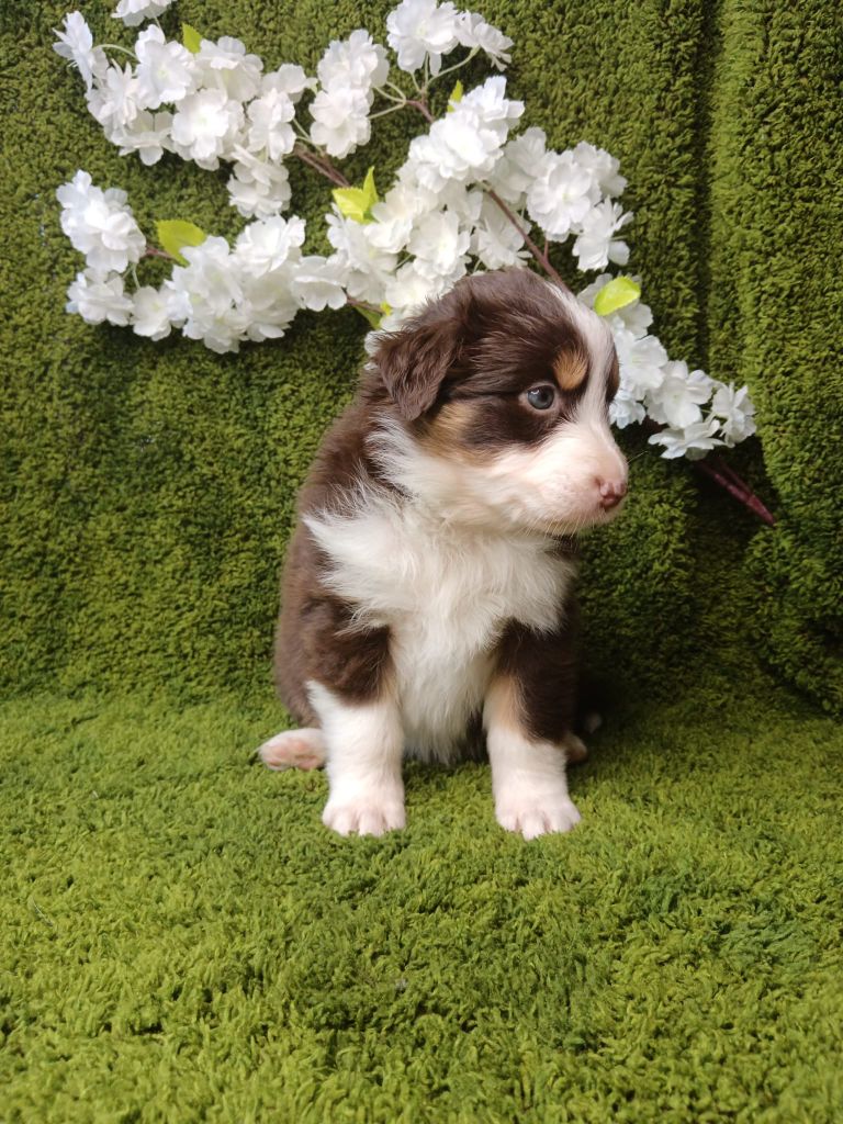 ARKANSAS LITTLE ROCK