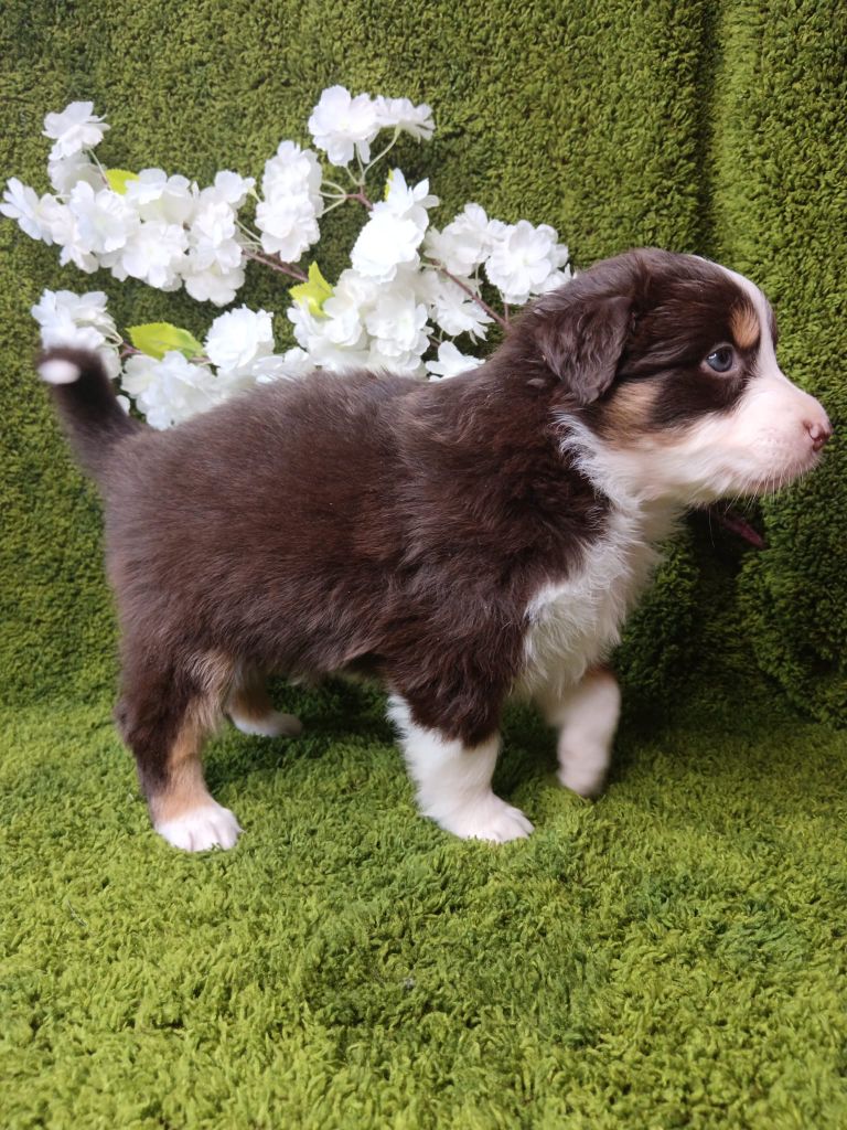 ARKANSAS LITTLE ROCK