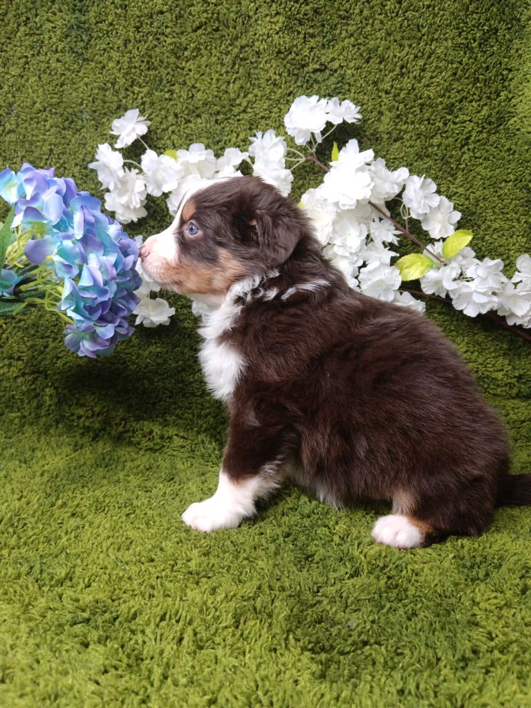 ARKANSAS LITTLE ROCK