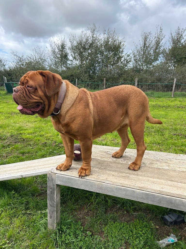 Unesse (Sans Affixe)