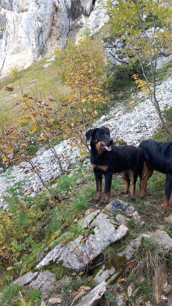 Ada shelby Du Songe De La Lune Noire