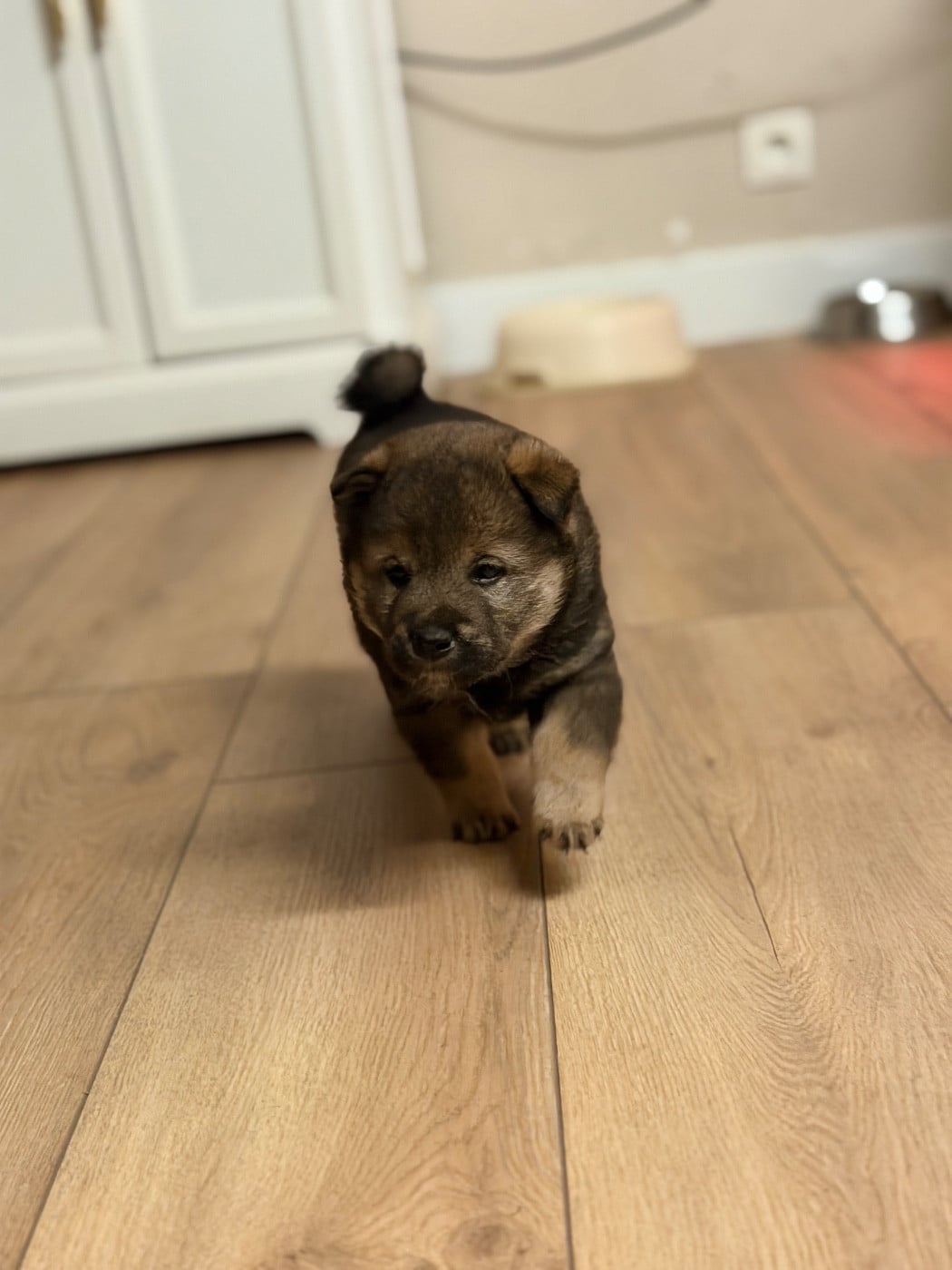 Apy de l Arche d Ohana