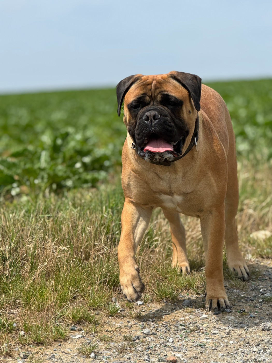 Publication : All Eyez On Me Auteur : Charlie ROY