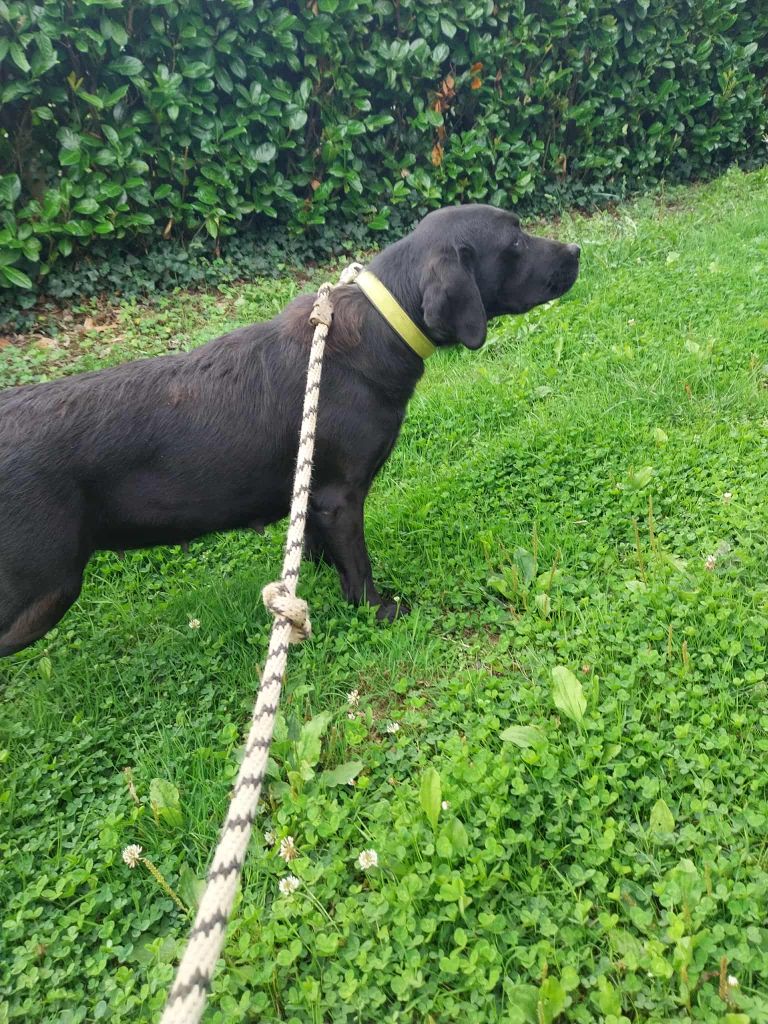 Simone du moulin de sault