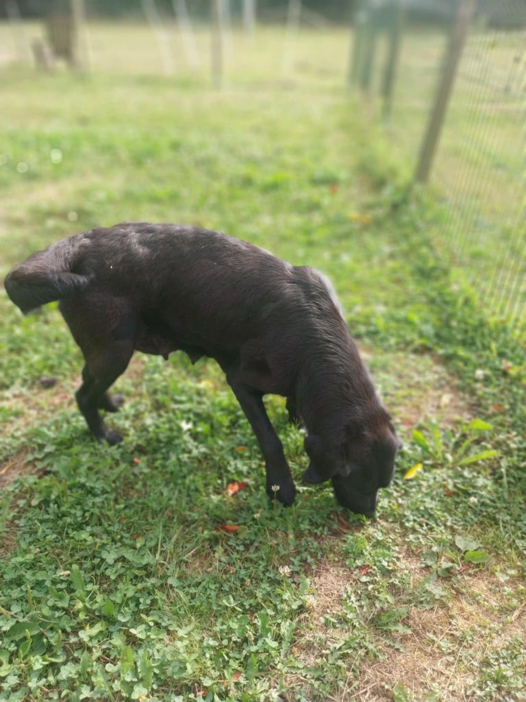 Simone du moulin de sault