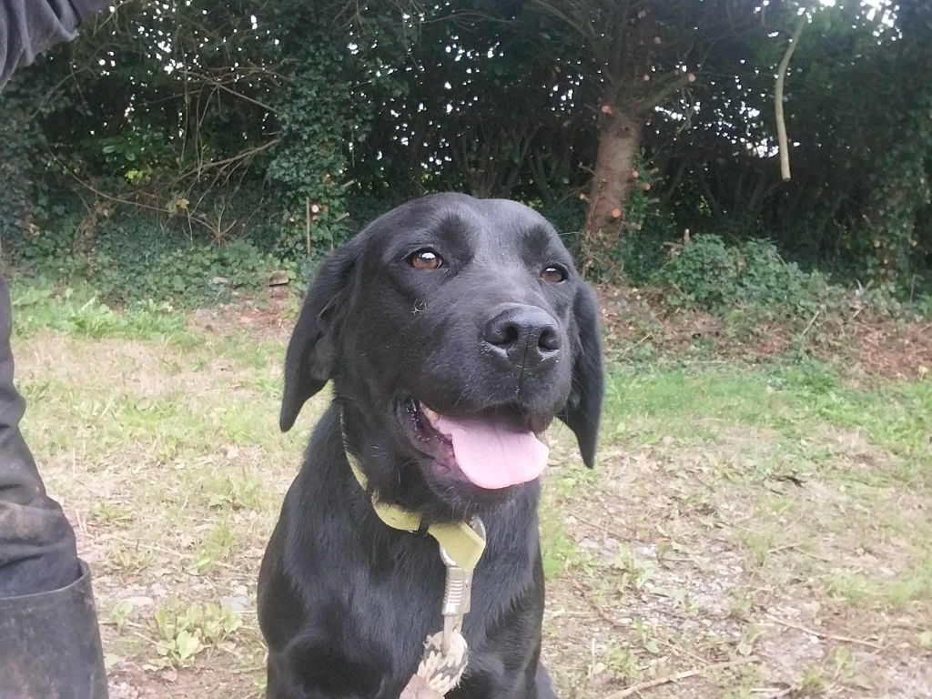 Simone du moulin de sault