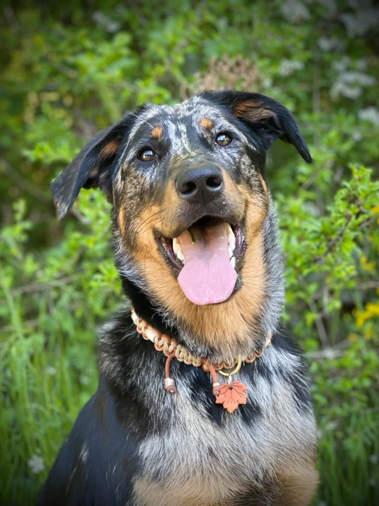 Vinka Du Songe De La Lune Noire