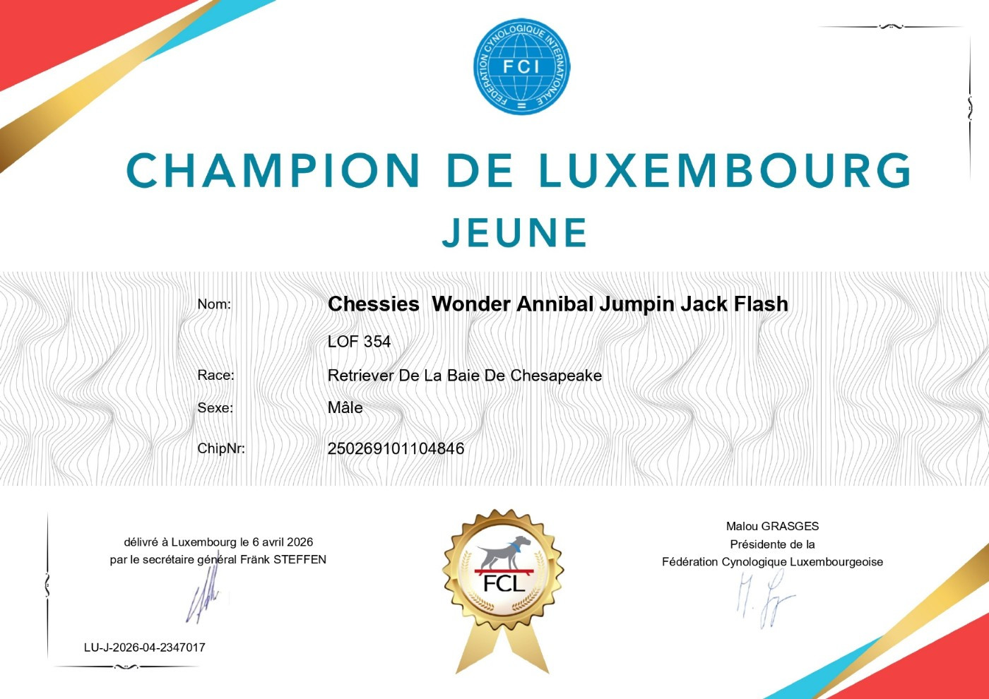 Chessies Wonder Annibal jumpin jack flash - 1er Exc classe Jeune CACIB Jeune Meilleur Jeune- BOB- Qualif Crufts 2027.