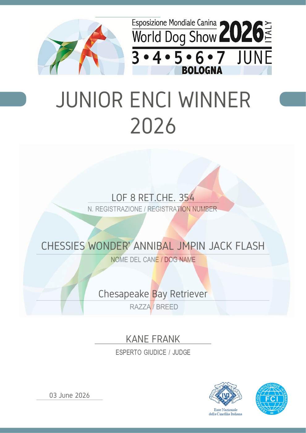 Chessies Wonder Annibal jumpin jack flash - 1er Exc classe Jeune- JCAC- JCACIB -BOB jeune