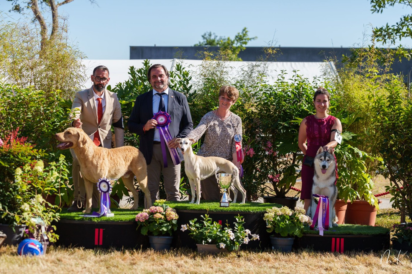 Chessies Wonder Annibal jumpin jack flash - 1er Exc classe Jeune- CACS Jeune Meilleur Jeune BOB . Podiums : Reserve Best in Show junior & BOG 2 Adulte