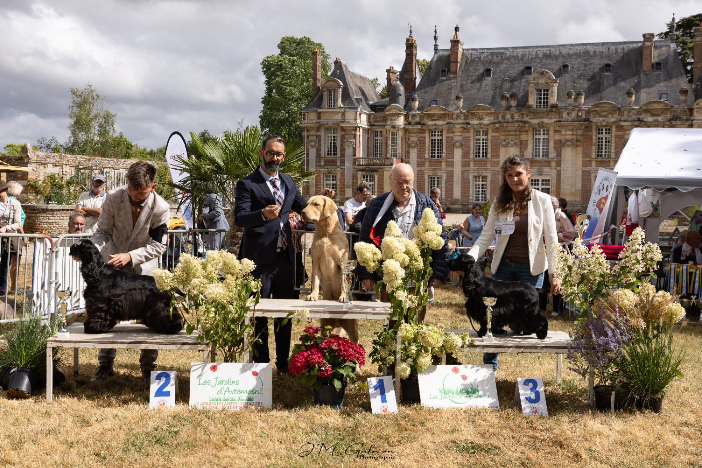 Chessies Wonder Annibal jumpin jack flash - 1er Exc classe Jeune CACS Jeune Meilleur Jeune- BOB- Podiums ; 1er groupe 8 Jeune Réserve Best in Show Jeune.