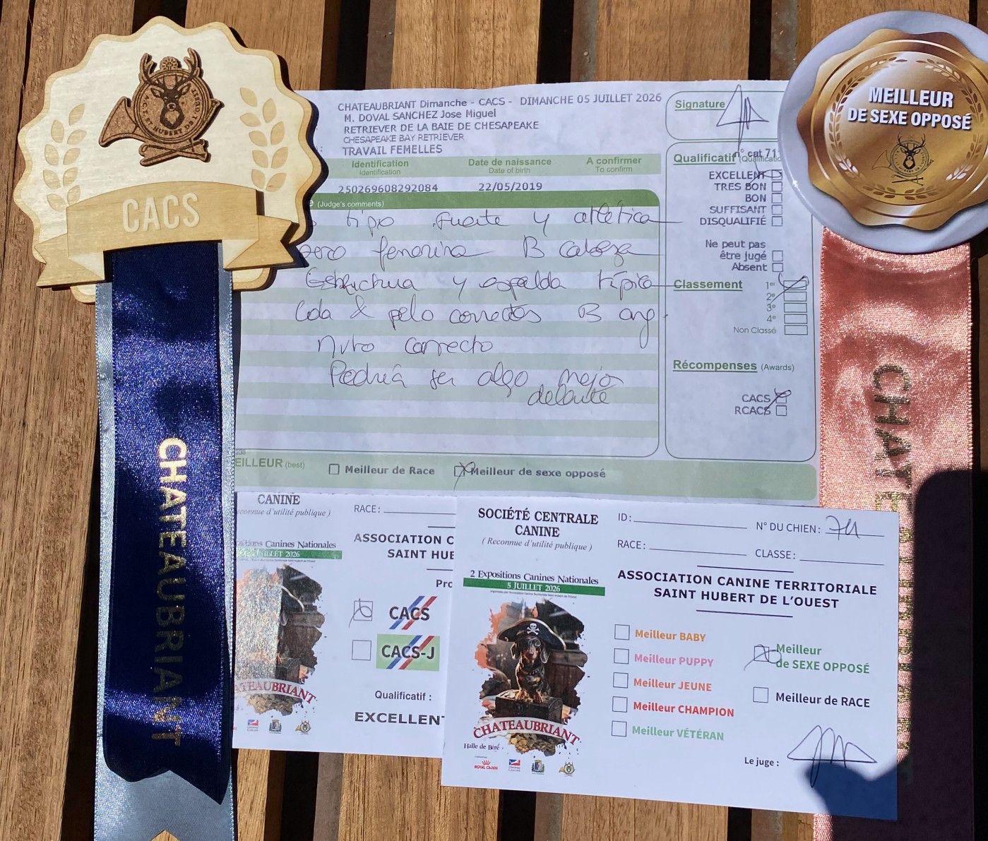 CH. Purdey Of Potomac River - 1er Excellent-classe Travail. CAC - BOS-