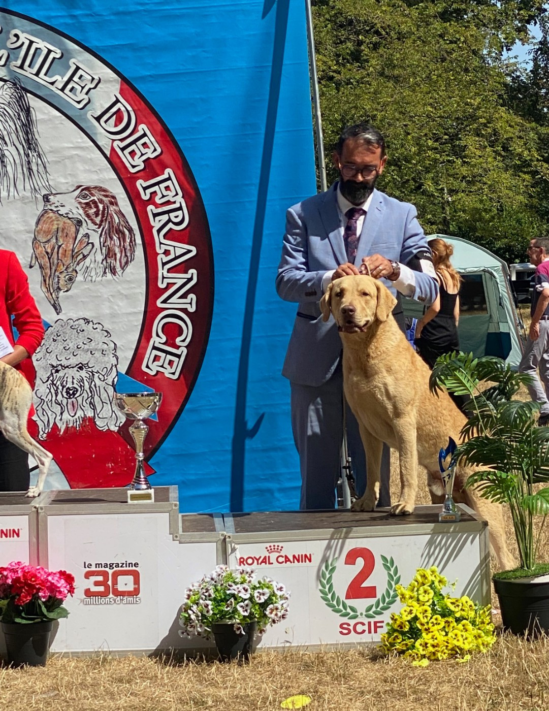 Chessies Wonder Annibal jumpin jack flash - 1er Exc classe Jeune CACS Jeune Meilleur Jeune- BOS - 1er groupe 8 Jeune Réserve Best in Show Jeune