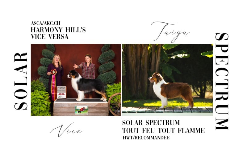 Berger Australien - Solar Spectrum