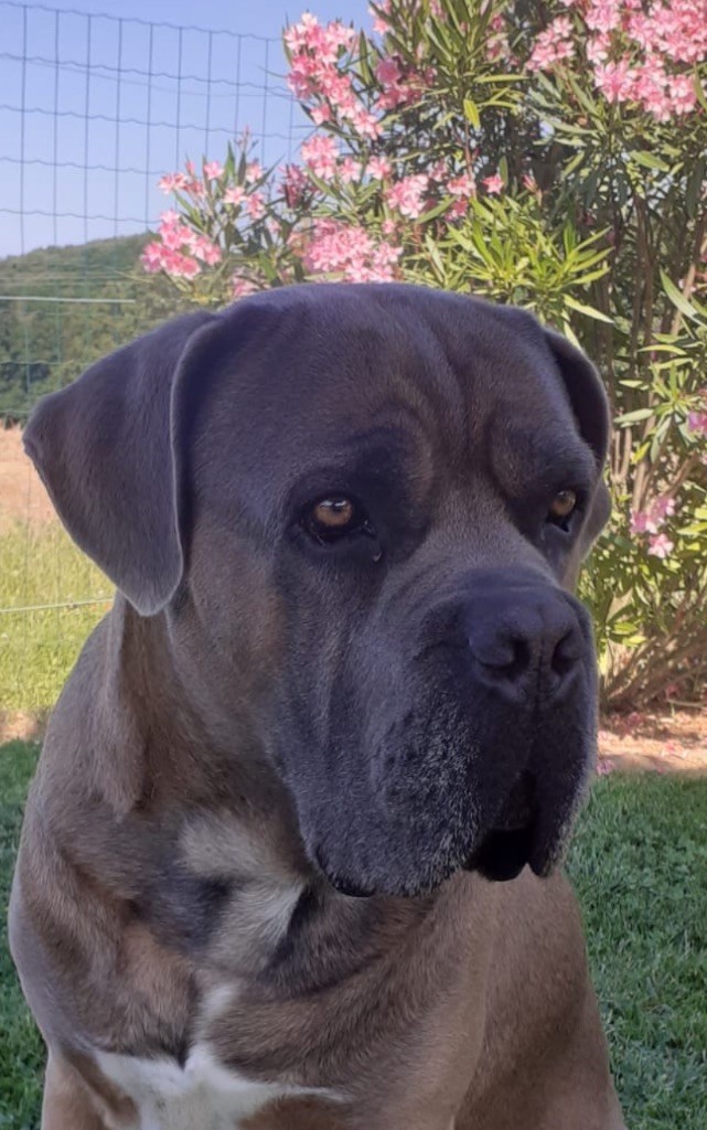 Publication : Yannic Erard Auteur : Yannic Erard