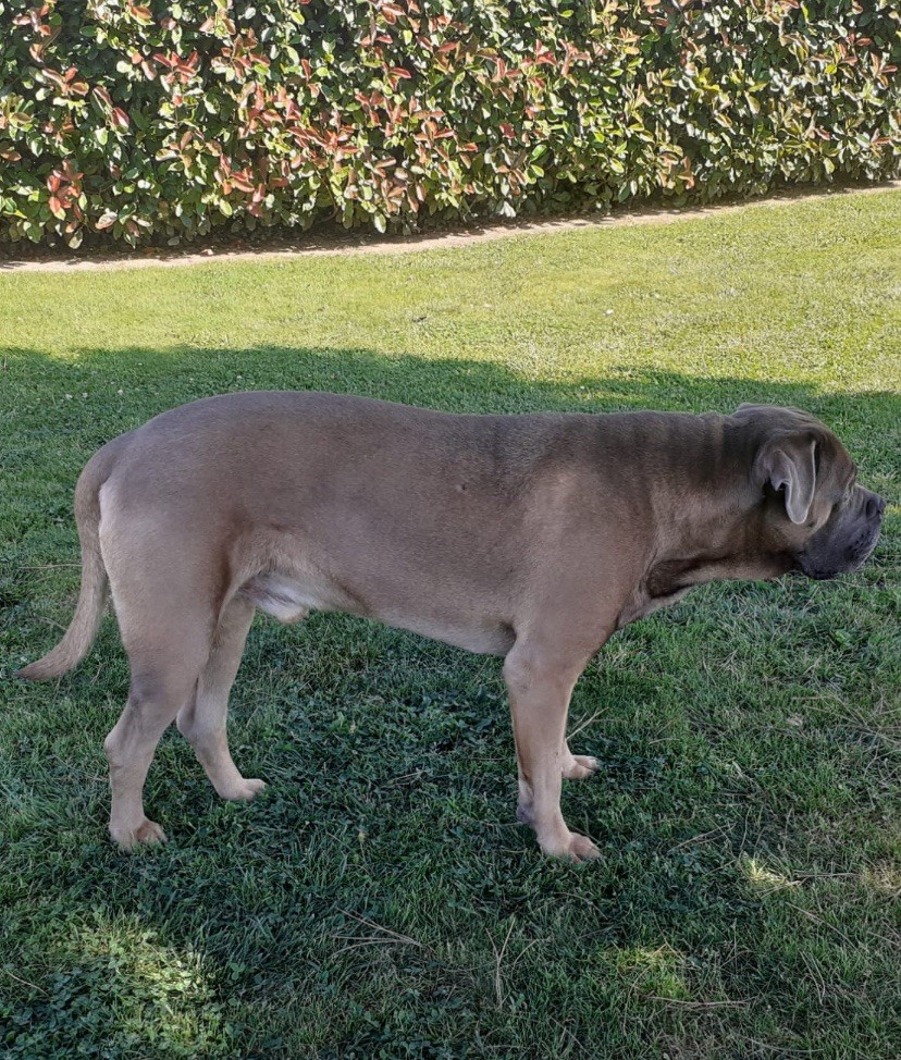 Publication : Yannic Erard Auteur : Yannic Erard