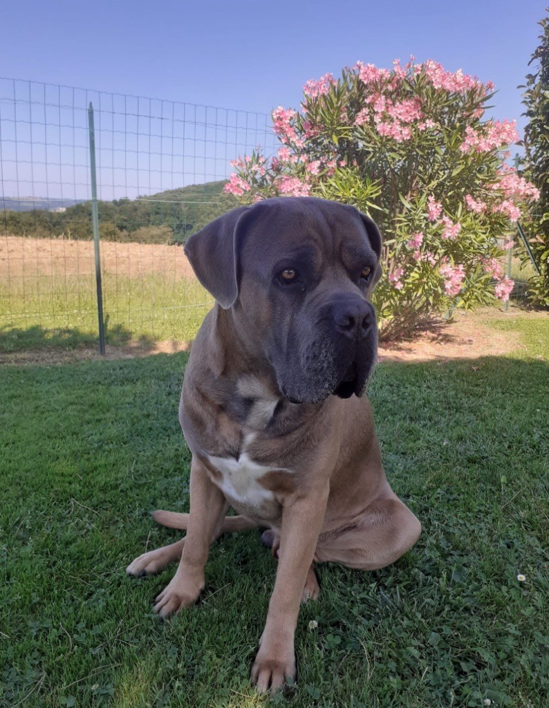 Publication : Yannic Erard Auteur : Yannic Erard