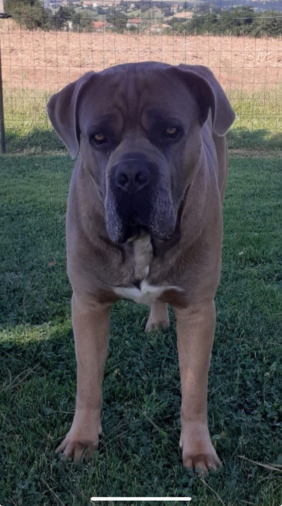 Publication : Yannic Erard Auteur : Yannic Erard